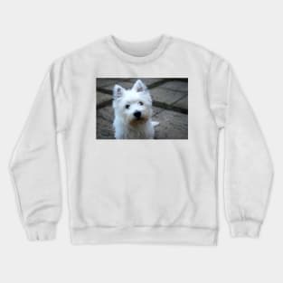 Westie Crewneck Sweatshirt